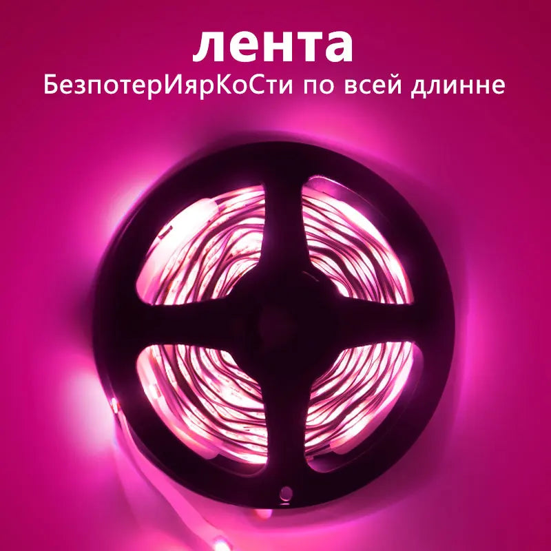 STTL APP Control and Remote Control 5m Smart Strip Light 30LEDs/m RGB Color Change LED Strip Lights for Home Decoration